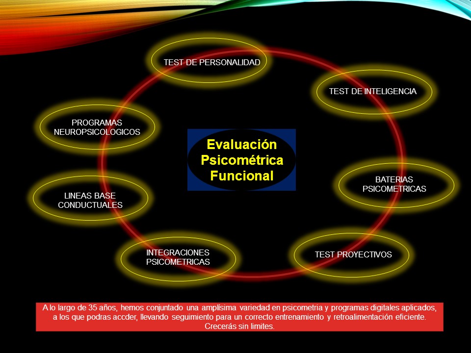 Diapositiva10